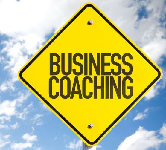 business coaching pinakida